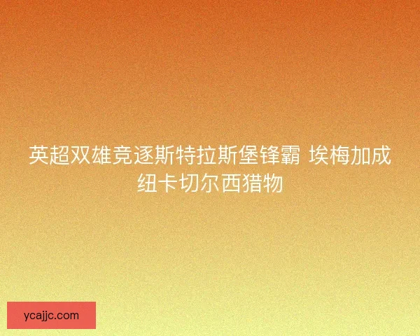 英超双雄竞逐斯特拉斯堡锋霸 埃梅加成纽卡切尔西猎物
